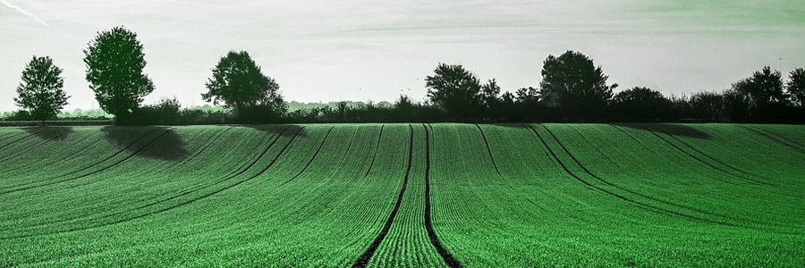 sage-pme-agricole